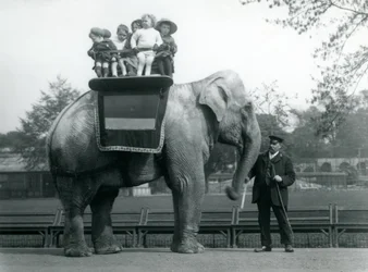 Een Indische Olifant, met verzorger, die kleine kinderen een ritje geeft in de London Zoo, c.1913